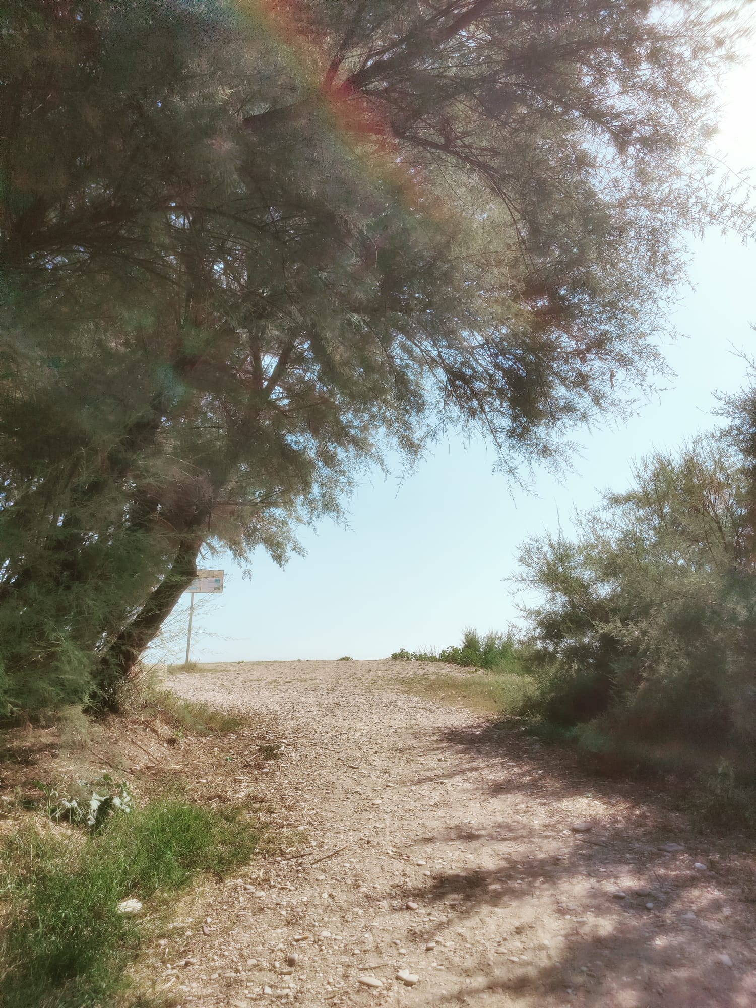 Porto Sant’Elpidio
